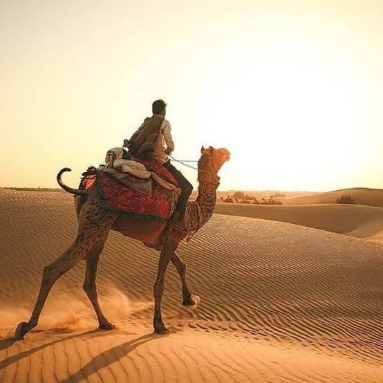 Desert Holiday Jaisalmer Eksteriør bilde