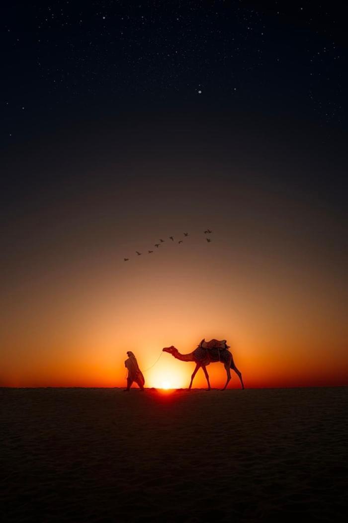 Desert Holiday Jaisalmer Eksteriør bilde