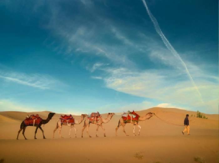 Desert Holiday Jaisalmer Eksteriør bilde